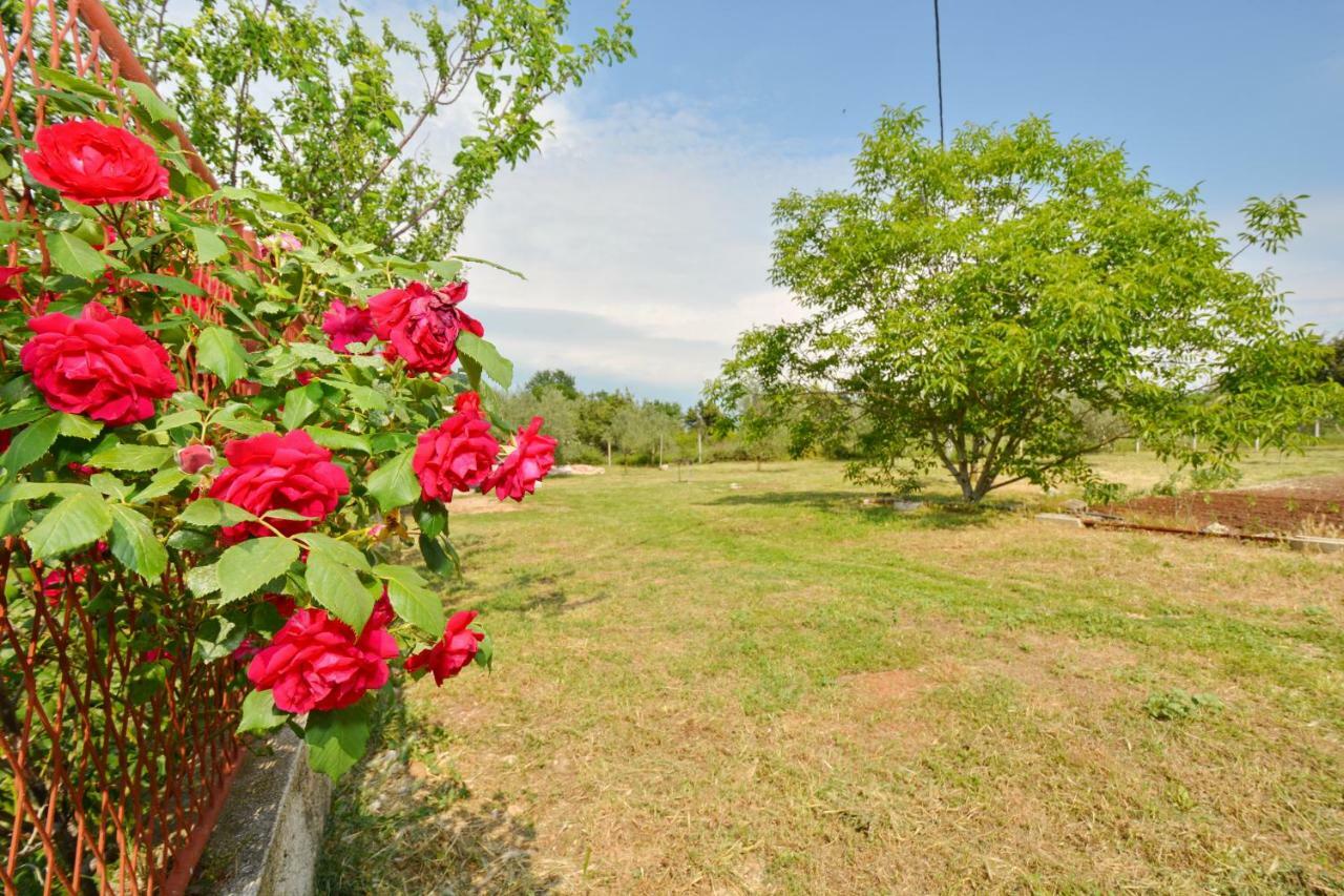 Apartmani Maca Sikovo Εξωτερικό φωτογραφία